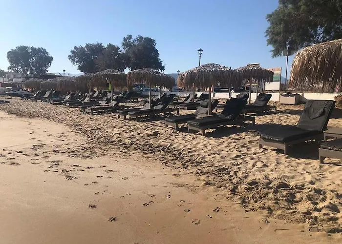 Modern One Bedroom Beachside