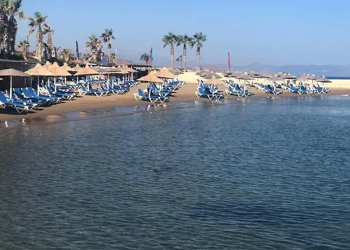 Modern One Bedroom Beachside Case de vacanță